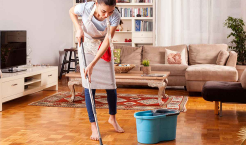 Keeping a Pet-Friendly Home Clean Without Mopping All Day